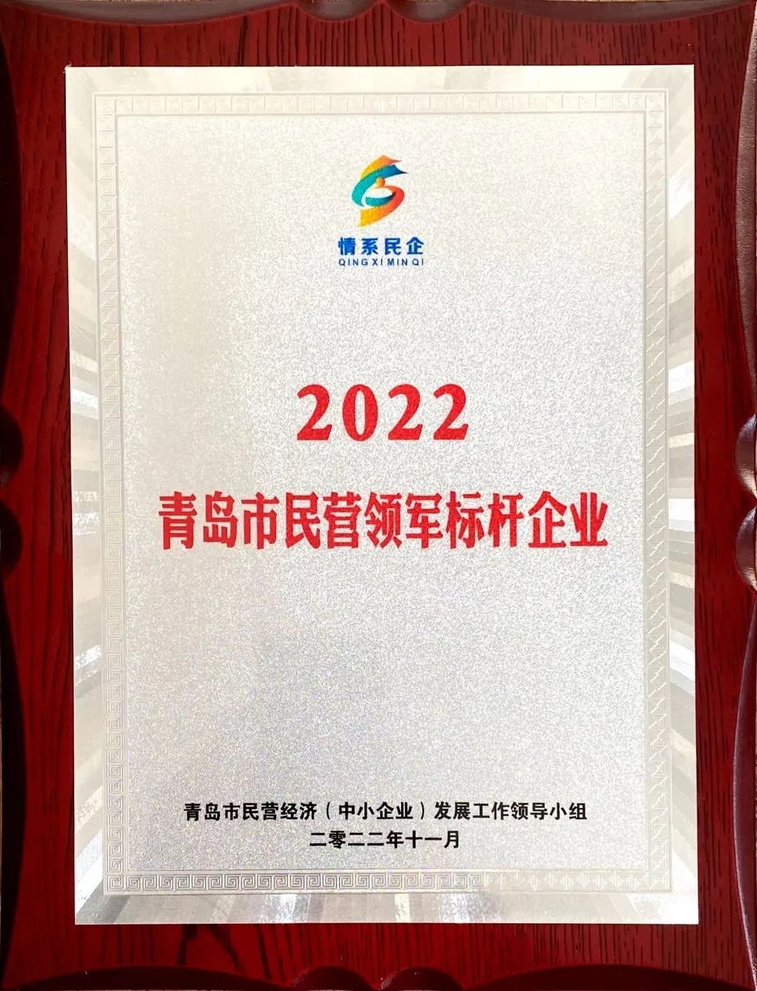 2022年度青島市民營領軍標桿企業 2022年度青島市民營領軍標桿企業