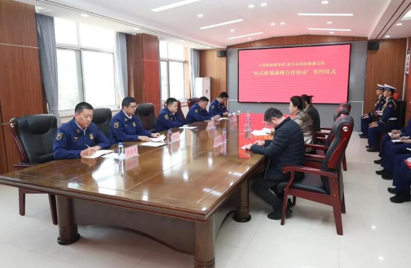 青島海麗雅集團 青島海麗雅集團